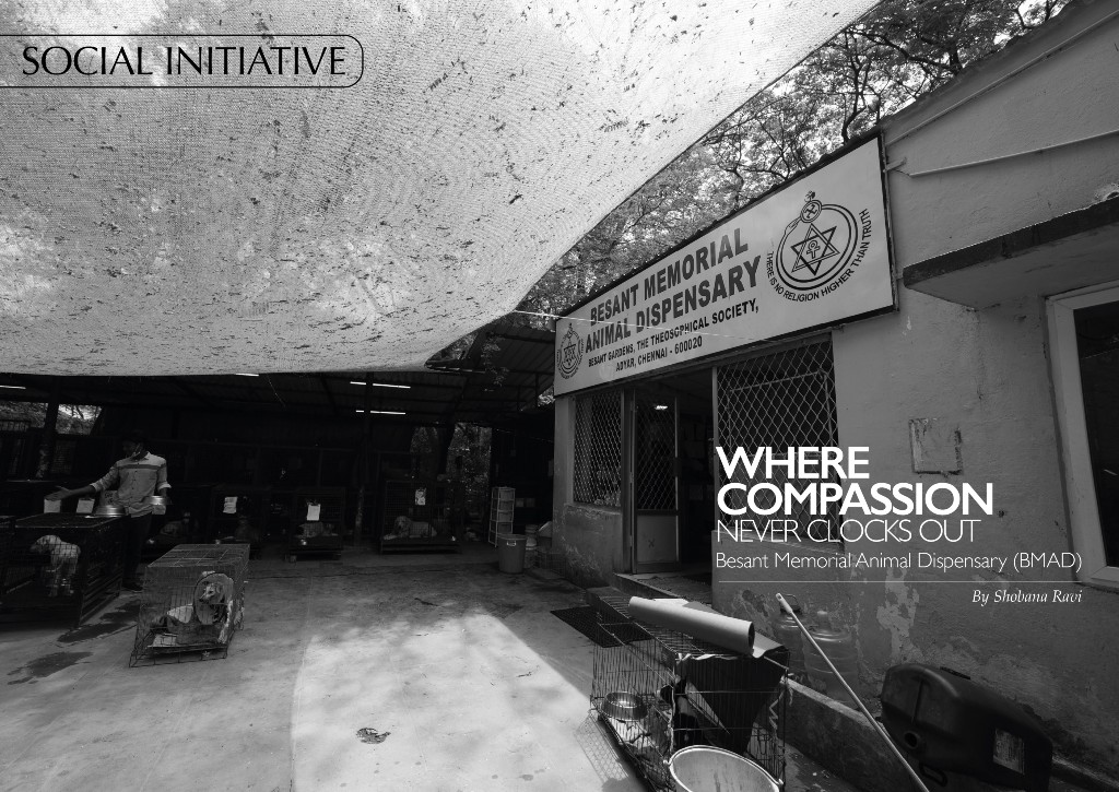 Social Initiative - Besant Memorial Animal Dispensary